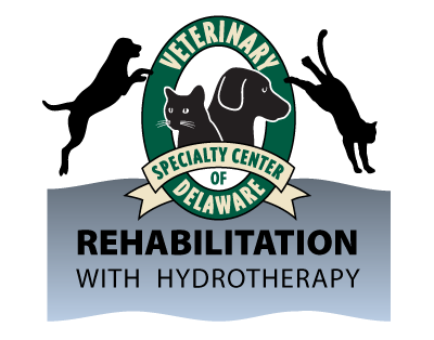 Fiorinal Rehab FacilityYarnell AZ